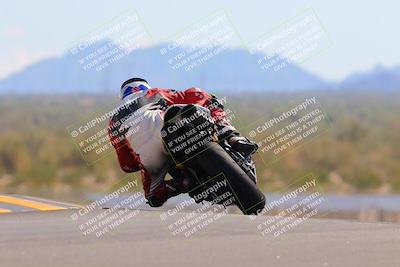 media/Oct-09-2022-SoCal Trackdays (Sun) [[95640aeeb6]]/Turn 9 Backside (120pm)/